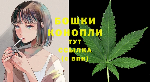 крисы Абдулино