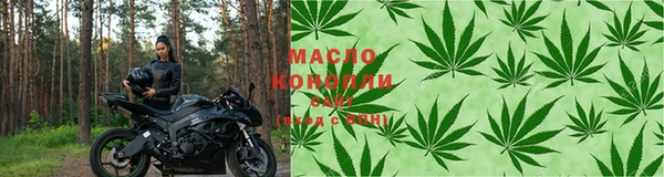 крисы Абдулино
