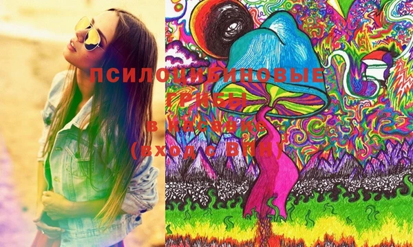 крисы Абдулино