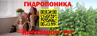 ГАЛЛЮЦИНОГЕННЫЕ ГРИБЫ Баксан